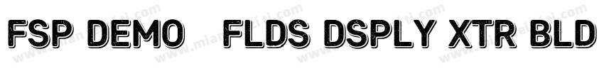 FSP DEMO   Flds Dsply xtr Bld Regul字体转换